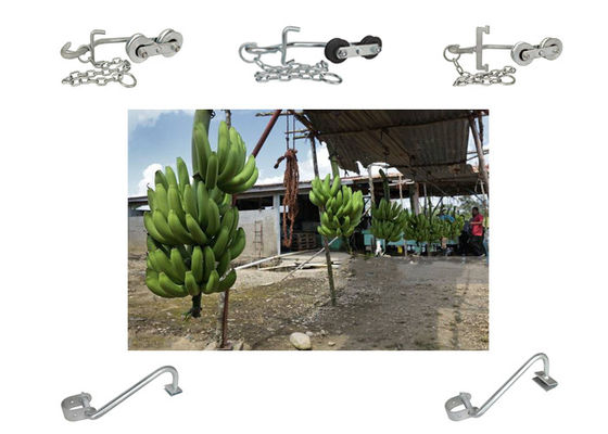 150kg-220KG Banana Hooks بكرات معلقة لمعدات النقل السهل